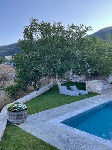 a backyard with a swimming pool and a tree at Patriko-Cozy villa on the foot of the mountains in Ammoudari