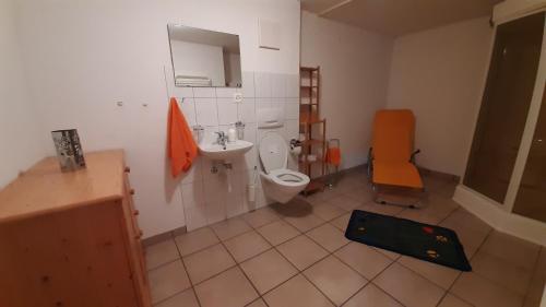 ein Bad mit einem WC und einem Waschbecken in der Unterkunft Acla Pala in Lenzerheide