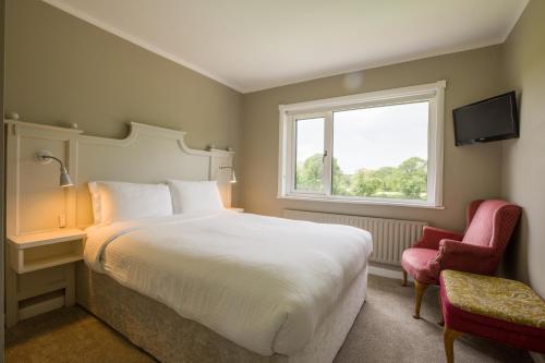 1 dormitorio con cama, ventana y silla en Lios Na Manach ECO B&B en Killarney