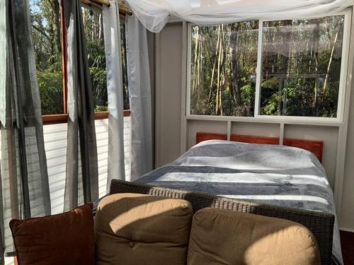 a bedroom with a bed and a couch in front of a window at Exotic Garden cottage at amazing volcano fissure in Mountain View