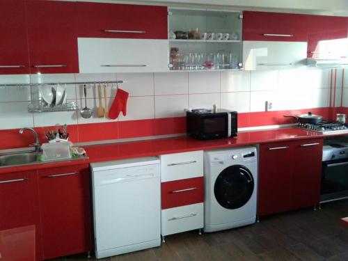 ブシュテニにあるCasa Montana Busteniの赤いキッチン(洗濯機、シンク付)