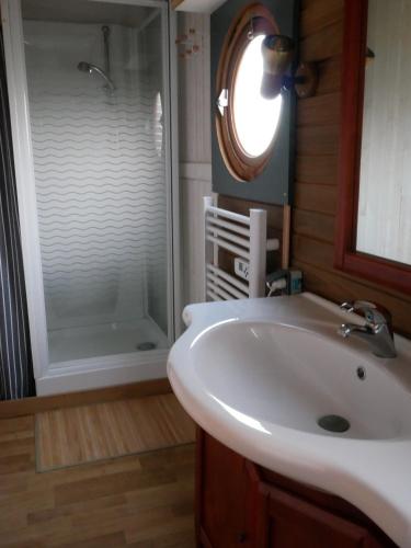 a bathroom with a sink and a shower at Les roulottes de Moulin Rouge in Audelange