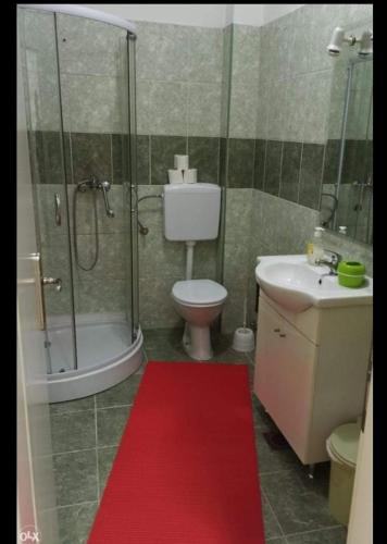 ein Bad mit einer Dusche, einem WC und einem roten Teppich in der Unterkunft Apartman (stan na dan) M&M Prijedor in Prijedor