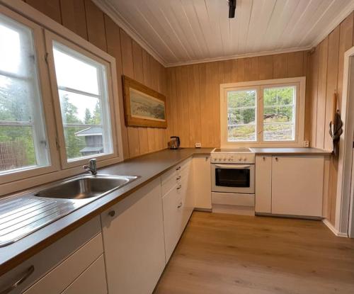 a kitchen with white cabinets and a sink and two windows at Hadeland Cottage in Lunner