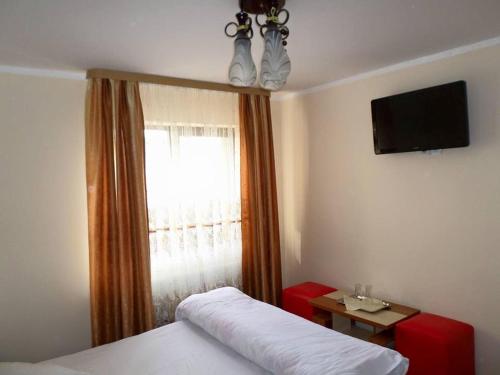 ブシュテニにあるCasa Montana Busteniのベッドルーム1室(ベッド1台付)、窓(テレビ付)