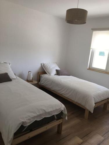 une chambre avec deux lits et une fenêtre dans l'établissement Gîte lumineux et confortable dans un mas provençal, à Courthézon