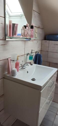 a bathroom with a white sink and a mirror at Agroturystyka Gandelinka Park Kędrzyno in Kędrzyno