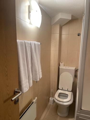 a small bathroom with a toilet and towels at Krupa na Vrbasu - Krupski raj in Banja Luka
