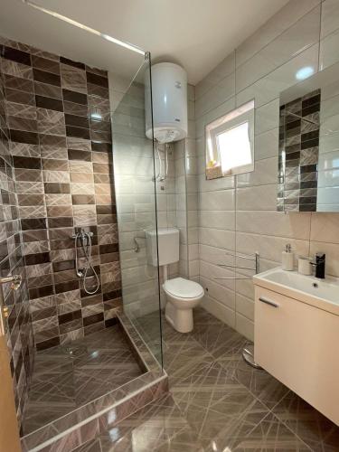 a bathroom with a shower and a toilet and a sink at Zlatni bor apartmani in Solotuša