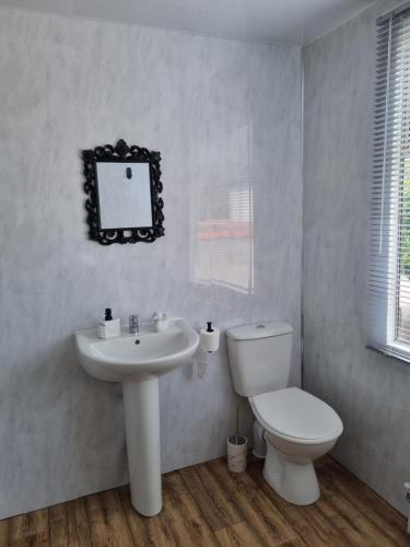 a white bathroom with a toilet and a sink at Firbog Nook in Antrim