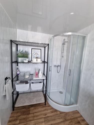W łazience znajduje się prysznic ze szklaną kabiną prysznicową. w obiekcie Firbog Nook w mieście Antrim