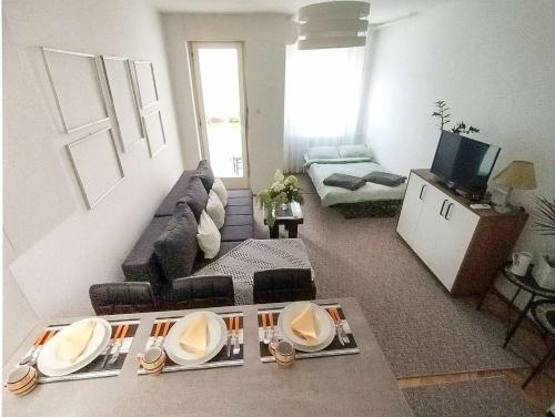 salon z kanapą i telewizorem w obiekcie Apartman Vladimir w Nowym Sadzie