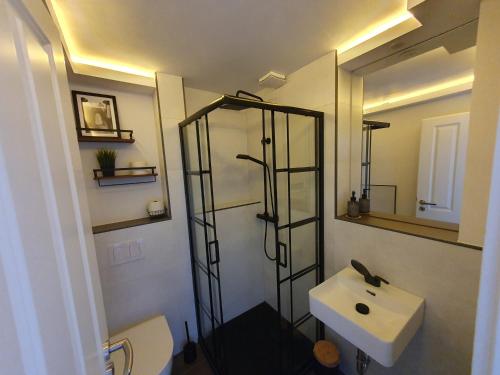 ein Bad mit einer Dusche und einem weißen Waschbecken in der Unterkunft Neumühler Hof - moderne Ferienwohnung "Janica" mit ruhiger Lage zum Garten raus mit kostenfreien Wlan und Netflix in Schwerin