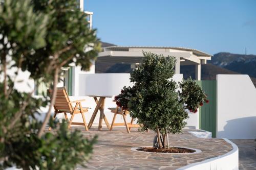 a group of trees in a courtyard with chairs at Castello Amorgos Suites in Katapola