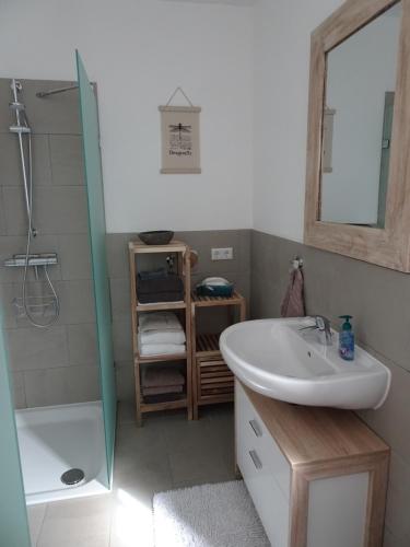 a bathroom with a sink and a shower at Ferienwohnung Büren-Harth in Büren