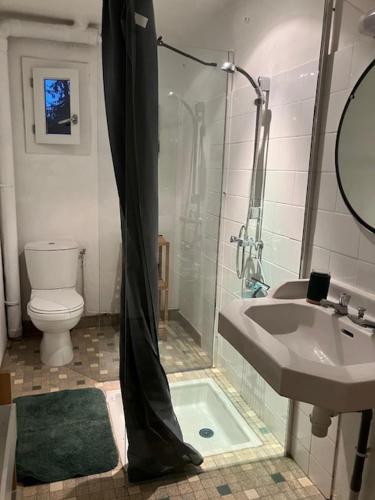 a bathroom with a shower and a sink and a toilet at La Chambre a l'Oree du bois in Capdrot