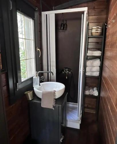 a bathroom with a white sink and a window at Roulotte / Tiny House dans les Alpilles in Saint-Rémy-de-Provence