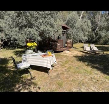 a picnic table and two benches in a yard at Roulotte / Tiny House dans les Alpilles in Saint-Rémy-de-Provence