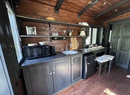 a kitchen with a microwave and a sink in a house at Roulotte / Tiny House dans les Alpilles in Saint-Rémy-de-Provence