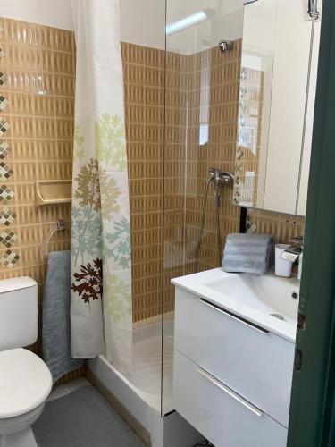 La salle de bains est pourvue d'une douche, de toilettes et d'un lavabo. dans l'établissement Studio le Vue mer Accès direct à la plage Parking privé Clim belle terrasse, au Grau-du-Roi