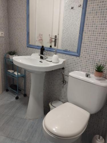 a bathroom with a white toilet and a sink at Casa Aldea de Abaixo in Lugo