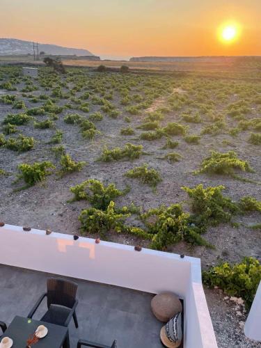 a view of a field with a sunset in the background at Zana's Villa-Sandra in Akrotiri