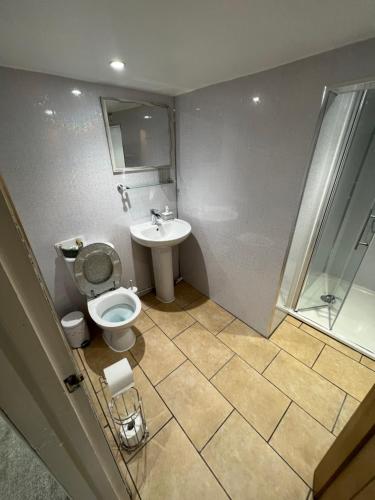 a bathroom with a toilet and a sink and a shower at The Lily Pad in Tavistock