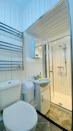 a bathroom with a toilet and a shower and a sink at Tusker Lodge in Torquay