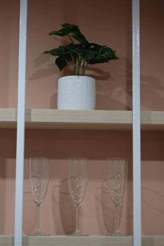 three wine glasses on a shelf with a potted plant at Apartamenty Centrum in Białystok