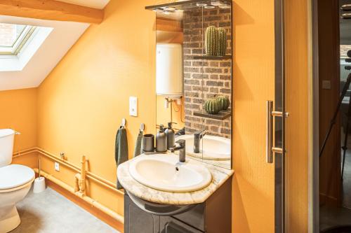 une salle de bain avec un lavabo et des toilettes dans l'établissement Le Cosy Tannerie - Hypercentre - Climatisé, à Troyes