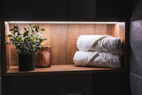 a shelf with towels and a potted plant in a bathroom at ROSE Luxury Apartments in Lublin