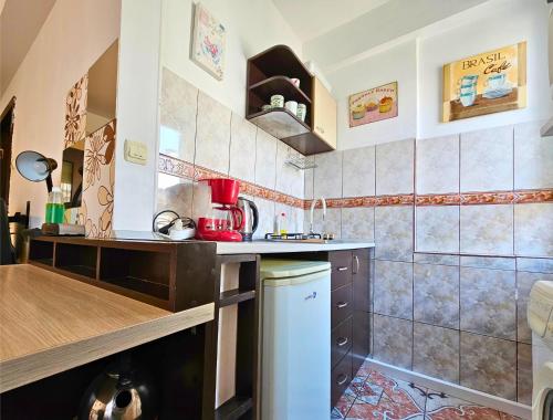 a kitchen with a sink and a counter top at GOOD VIBES in Cismigiu Studio steps from Subway Self Check IN in Bucharest