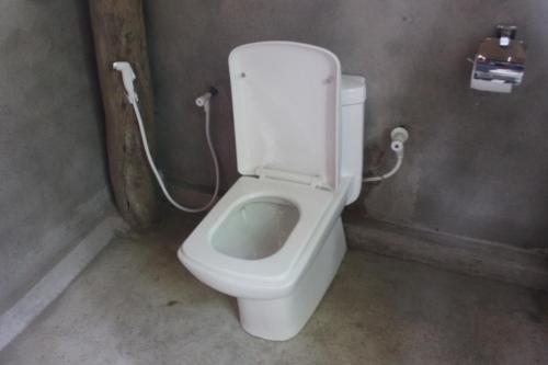 a bathroom with a white toilet in a stall at Forest Tree Top Holiday Resort in Buttala