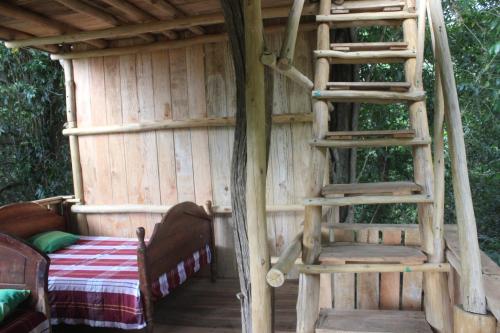 a house with a ladder and a bed in it at Forest Tree Top Holiday Resort in Buttala
