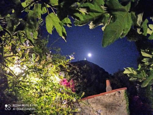 a light on top of a mountain at night at The Secret Garden Maratea - Casa di Sery in Maratea