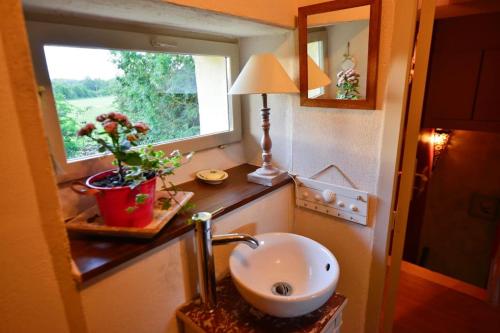 niewielka łazienka z umywalką i oknem w obiekcie La Frapperie w mieście La Pommeraie-sur-Sèvre
