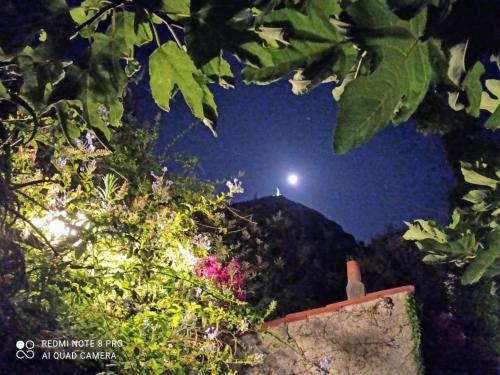 Κήπος έξω από το The Secret Garden Maratea - Casa di Elena