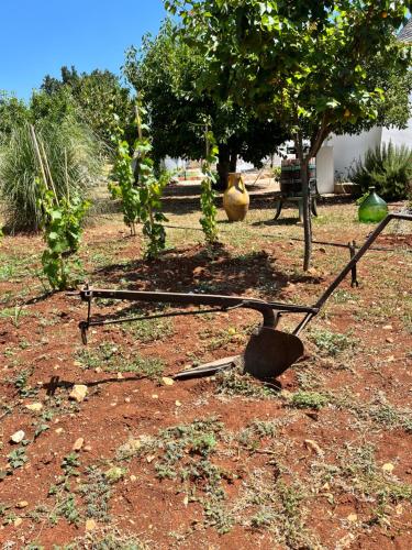 Jardín al aire libre en Trullo in vigna