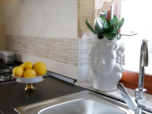 a kitchen counter with a sink and a vase with a plant at Villa La Torre in Pagliara