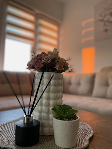 two vases with flowers on a table in a living room at Zlatni bor apartmani in Solotuša