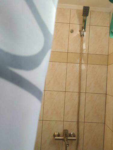 a shower in a bathroom with a tile wall at CALLI HOUSE in Preveza