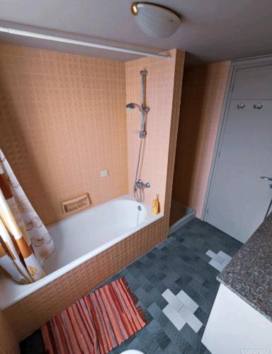 Das Bad ist mit einer Badewanne und einer Dusche ausgestattet. in der Unterkunft City center 3 bedroom apartment in Nikosia