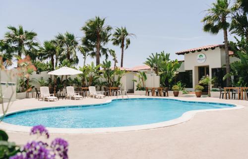 a pool at a resort with tables and chairs and palm trees at Corona Hotel & Spa in Ensenada