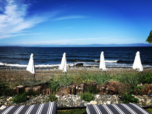 夸利库姆海滩Qualicum Breeze Beach Resort的海滩上的一组白色遮阳伞