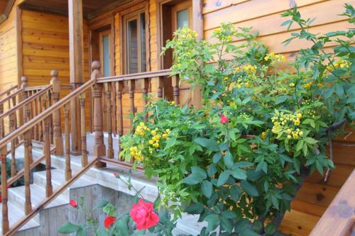 Zahrada ubytování Elly's Home