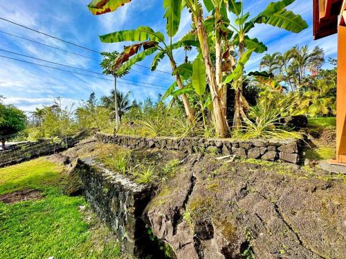 a stone retaining wall with a tree in it at Puna Zen Botanical Garden Retreat in Keaau