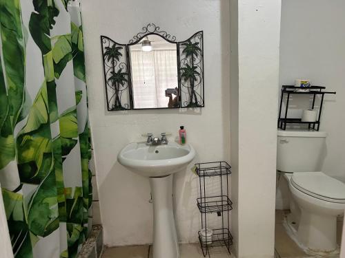 W łazience znajduje się umywalka, toaleta i lustro. w obiekcie Vieques Good Vibe Guest House w mieście Vieques