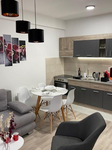 R Lux Apartman Jagodina Akva Parkにあるキッチンまたは簡易キッチン