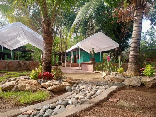 2 tiendas de campaña en un jardín con rocas y palmeras en Villas del Mar Hostal, en Cañas