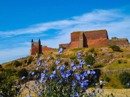a castle on top of a hill with purple flowers at 6 person holiday home in Allinge in Allinge